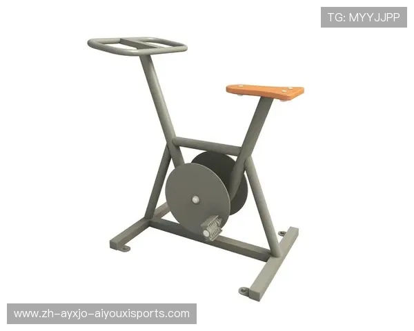 莫派斯健身器材品牌介绍及产品优势