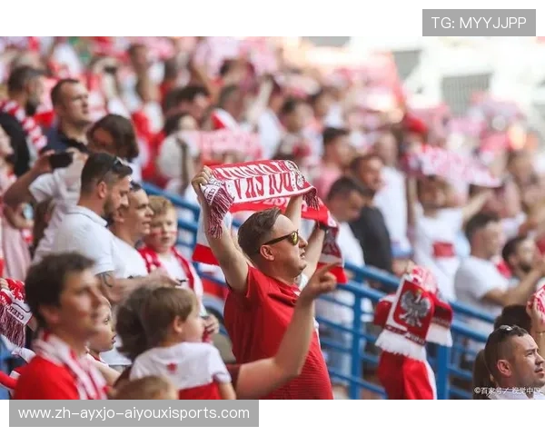 英超足球队球迷文化探讨 英超足球队球迷文化探讨